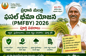 ప్రధాన మంత్రి ఫసల్ బీమా యోజన (PMFBY) అంటే ఏమిటి? ఎవరు తప్పకుండా పంట బీమా చేయించుకోవాలి? పూర్తి సమాచారం తెలుసుకుని పంట పరిహారం పొందండి. PMFBY 2026
